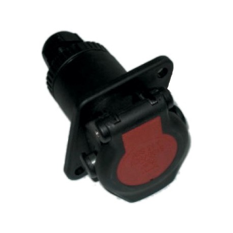 FICHE MALE ABSEBS 7 Pol