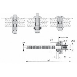 ORLOCK TP64 L205 - ACAC