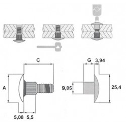 H100754C100 - BAGUE/TORKT.TP10 - EX L AC/AC (QTE 100)