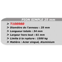 PION SIMPLE 25mm prail AERO